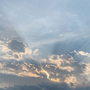 Meet your Posher, Carli